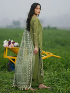 APPLE GREEN DHANAK 3pc ZB-1229