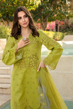 Lime green ZB-1021