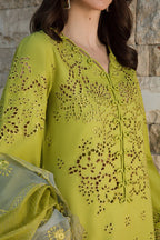 Lime green ZB-1021