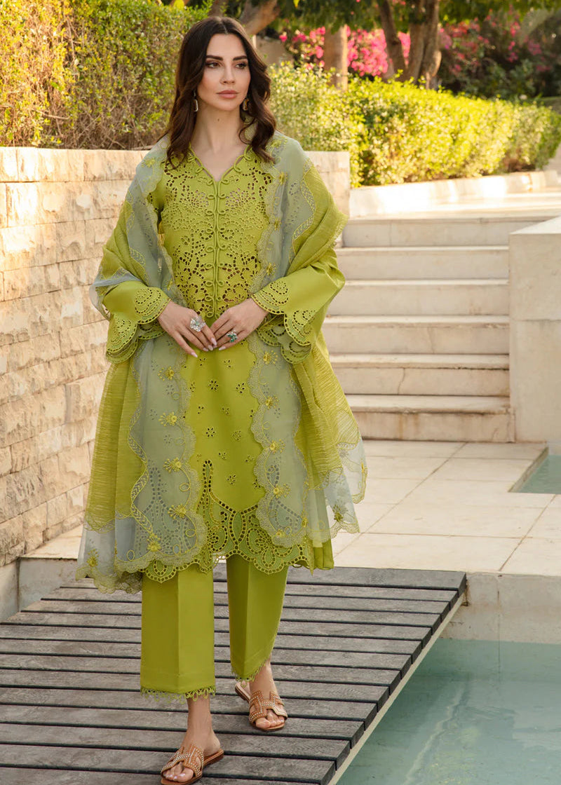Lime green ZB-1021
