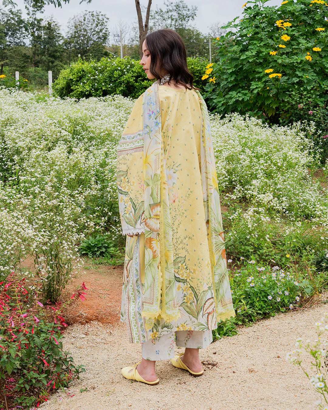 CORN YELLOW  Zb-1079