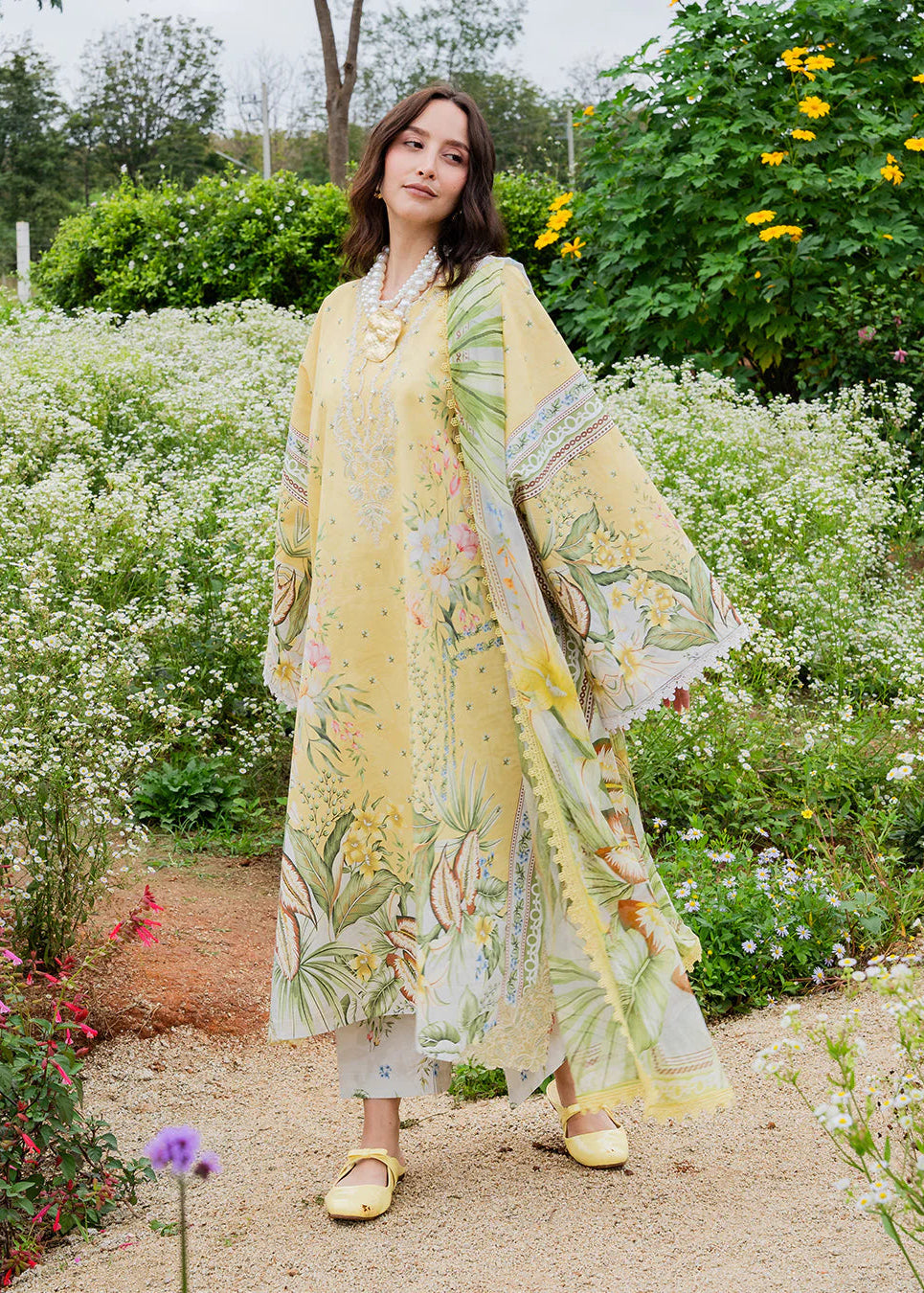 CORN YELLOW  Zb-1079